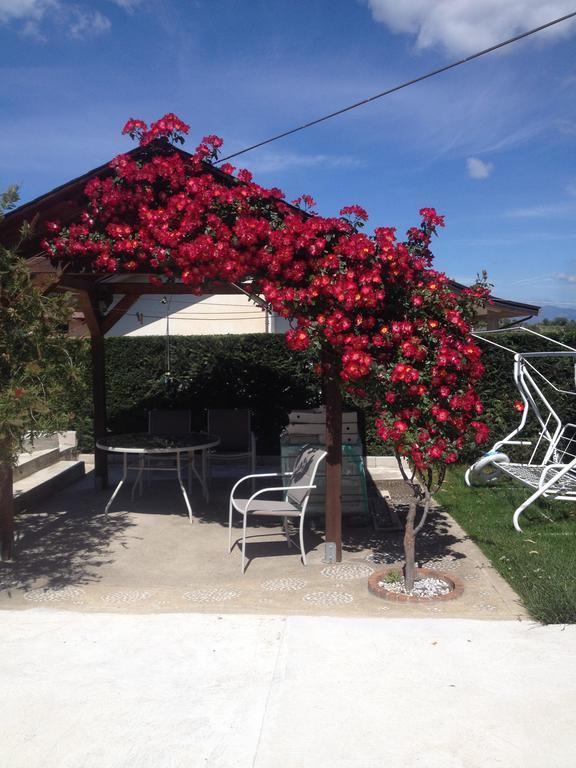 La Quercia Bed & Breakfast Cosenza Ngoại thất bức ảnh